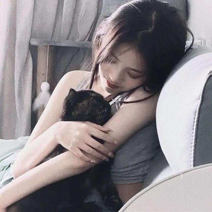 百慕大星际流浪者